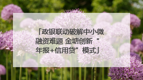 政银联动破解中小微融资难题 金塘创新“年报+信用贷”模式
