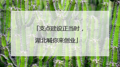 支点建设正当时，湖北喊你来创业
