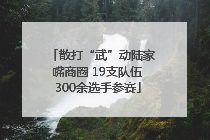 散打“武”动陆家嘴商圈 19支队伍300余选手参赛