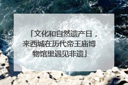 文化和自然遗产日，来西城在历代帝王庙博物馆里遇见非遗
