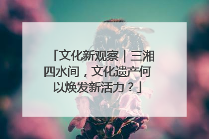 文化新观察｜三湘四水间，文化遗产何以焕发新活力？