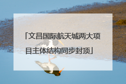 文昌国际航天城两大项目主体结构同步封顶