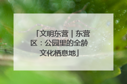 文明东营｜东营区：公园里的全龄文化栖息地