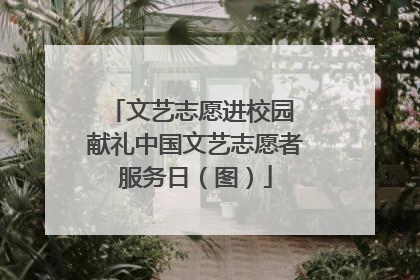 文艺志愿进校园 献礼中国文艺志愿者服务日（图）