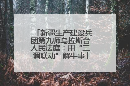 新疆生产建设兵团第九师乌拉斯台人民法庭：用“三调联动”解牛事