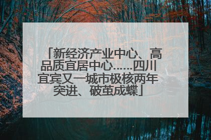 新经济产业中心、高品质宜居中心……四川宜宾又一城市极核两年突进、破茧成蝶