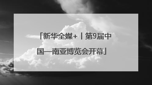 新华全媒+丨第9届中国—南亚博览会开幕