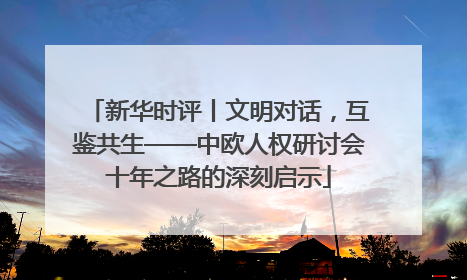 新华时评丨文明对话，互鉴共生——中欧人权研讨会十年之路的深刻启示