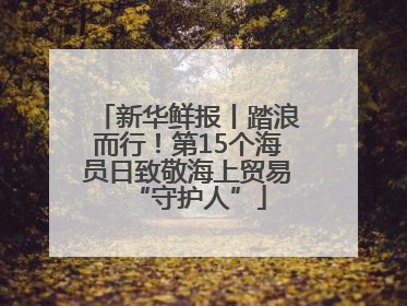 新华鲜报丨踏浪而行！第15个海员日致敬海上贸易“守护人”