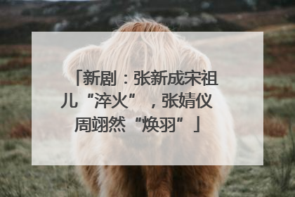 新剧：张新成宋祖儿“淬火”，张婧仪周翊然“焕羽”