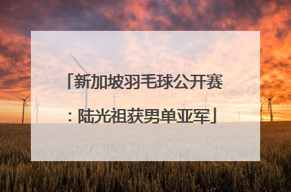 新加坡羽毛球公开赛：陆光祖获男单亚军