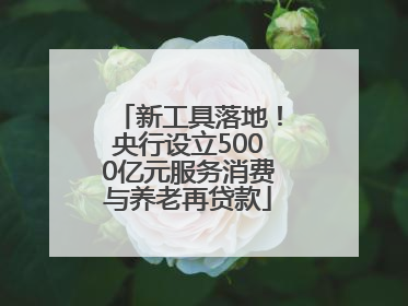 新工具落地！央行设立5000亿元服务消费与养老再贷款