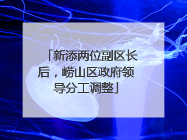 新添两位副区长后，崂山区政府领导分工调整