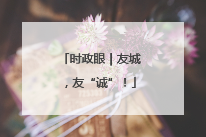 时政眼｜友城，友“诚”！