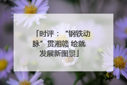 时评：“钢铁动脉”贯湘赣 绘就发展新图景