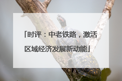 时评：中老铁路，激活区域经济发展新动能