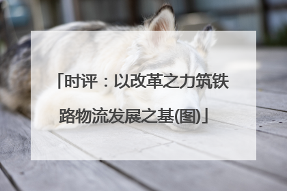 时评：以改革之力筑铁路物流发展之基(图)