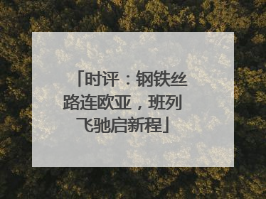 时评：钢铁丝路连欧亚，班列飞驰启新程