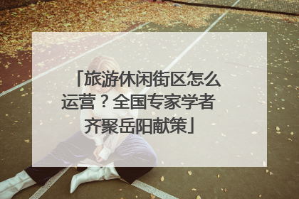 旅游休闲街区怎么运营？全国专家学者齐聚岳阳献策