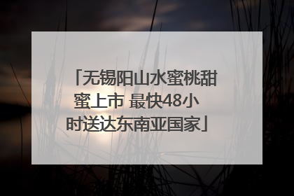 无锡阳山水蜜桃甜蜜上市 最快48小时送达东南亚国家