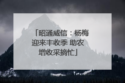 昭通威信：杨梅迎来丰收季 助农增收采摘忙