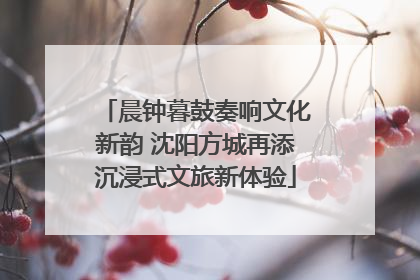 晨钟暮鼓奏响文化新韵 沈阳方城再添沉浸式文旅新体验