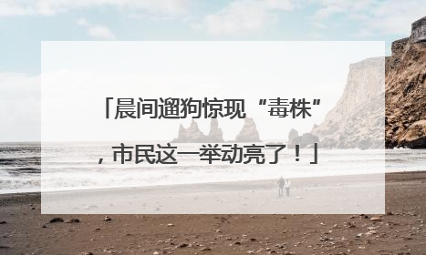 晨间遛狗惊现“毒株”，市民这一举动亮了！