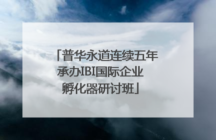 普华永道连续五年承办IBI国际企业孵化器研讨班