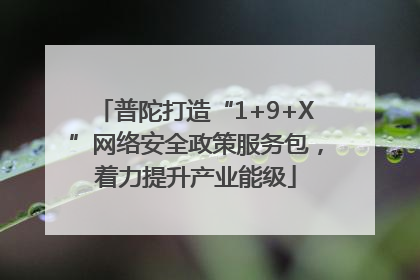 普陀打造“1+9+X”网络安全政策服务包，着力提升产业能级