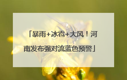 暴雨+冰雹+大风！河南发布强对流蓝色预警