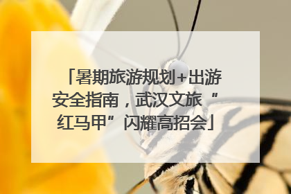 暑期旅游规划+出游安全指南，武汉文旅“红马甲”闪耀高招会