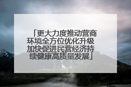 更大力度推动营商环境全方位优化升级加快促进民营经济持续健康高质量发展