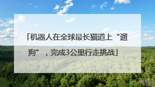 机器人在全球最长猫道上“遛狗”，完成3公里行走挑战