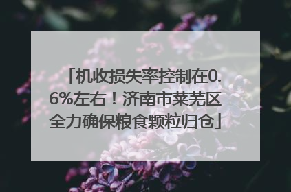 机收损失率控制在0.6%左右！济南市莱芜区全力确保粮食颗粒归仓