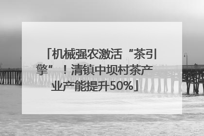 机械强农激活“茶引擎”！清镇中坝村茶产业产能提升50%