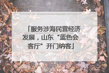 服务涉海民营经济发展，山东“蓝色会客厅”开门纳客