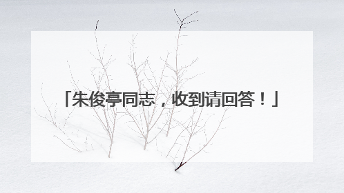 朱俊亭同志，收到请回答！