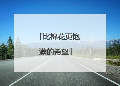 比棉花更饱满的希望