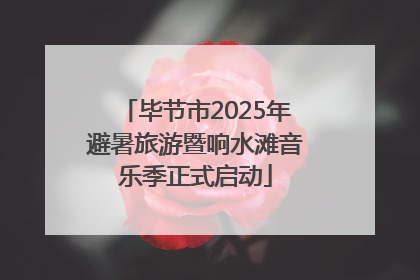 毕节市2025年避暑旅游暨响水滩音乐季正式启动