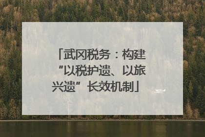 武冈税务：构建“以税护遗、以旅兴遗”长效机制