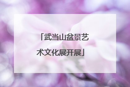 武当山盆景艺术文化展开展