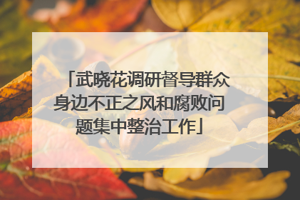 武晓花调研督导群众身边不正之风和腐败问题集中整治工作