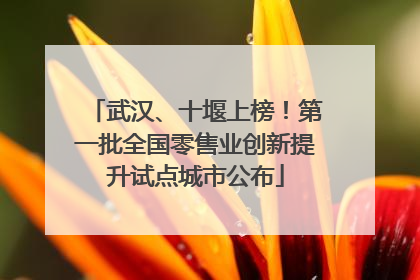 武汉、十堰上榜！第一批全国零售业创新提升试点城市公布