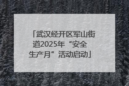 武汉经开区军山街道2025年“安全生产月”活动启动