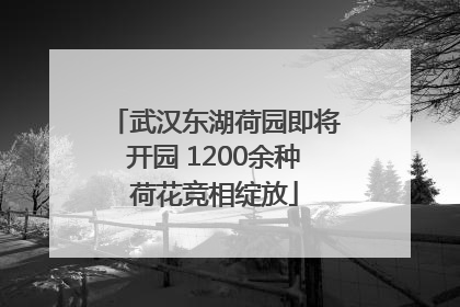 武汉东湖荷园即将开园 1200余种荷花竞相绽放