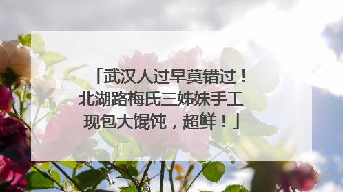 武汉人过早莫错过！北湖路梅氏三姊妹手工现包大馄饨，超鲜！