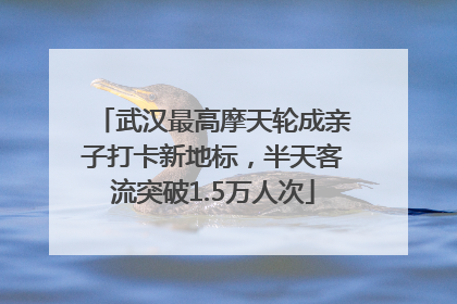 武汉最高摩天轮成亲子打卡新地标，半天客流突破1.5万人次