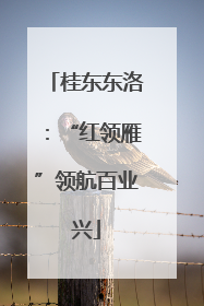 桂东东洛：“红领雁”领航百业兴