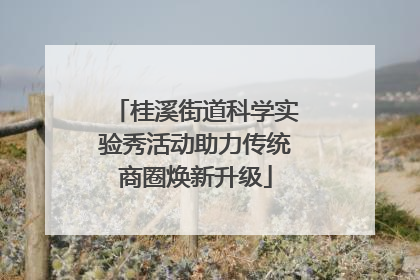 桂溪街道科学实验秀活动助力传统商圈焕新升级