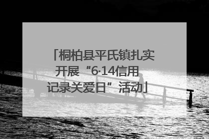 桐柏县平氏镇扎实开展“6·14信用记录关爱日”活动